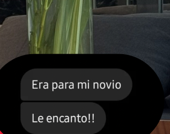 Captura de chat de Instagram: "Era para mi novio, le encantó!!"