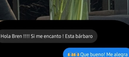 Captura de chat de Instagram: "Hola Bren!!! Si me encantó! Está bárbaro"