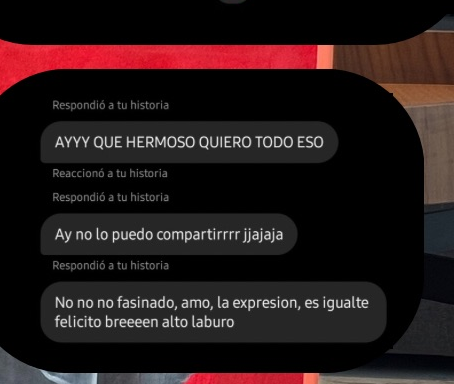 Captura de chat de Instagram: "Ayyy qué hermoso, quiero todo eso. Fascinada, amo la expresión, es igualita, felicitaciones, alto laburo"
